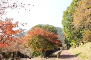 紅葉（桜園付近）